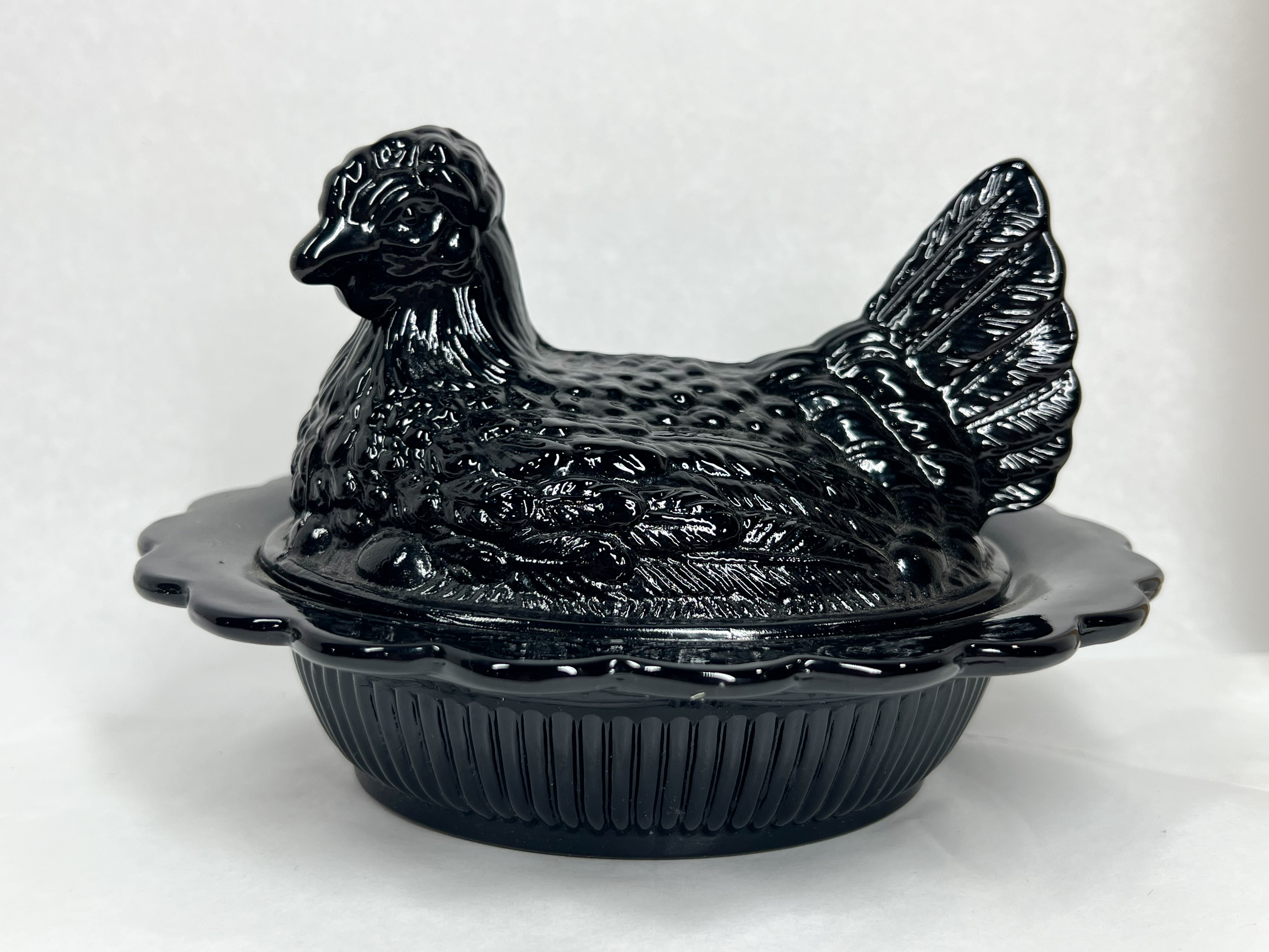 MOSSER BLACK HEN ON NEST