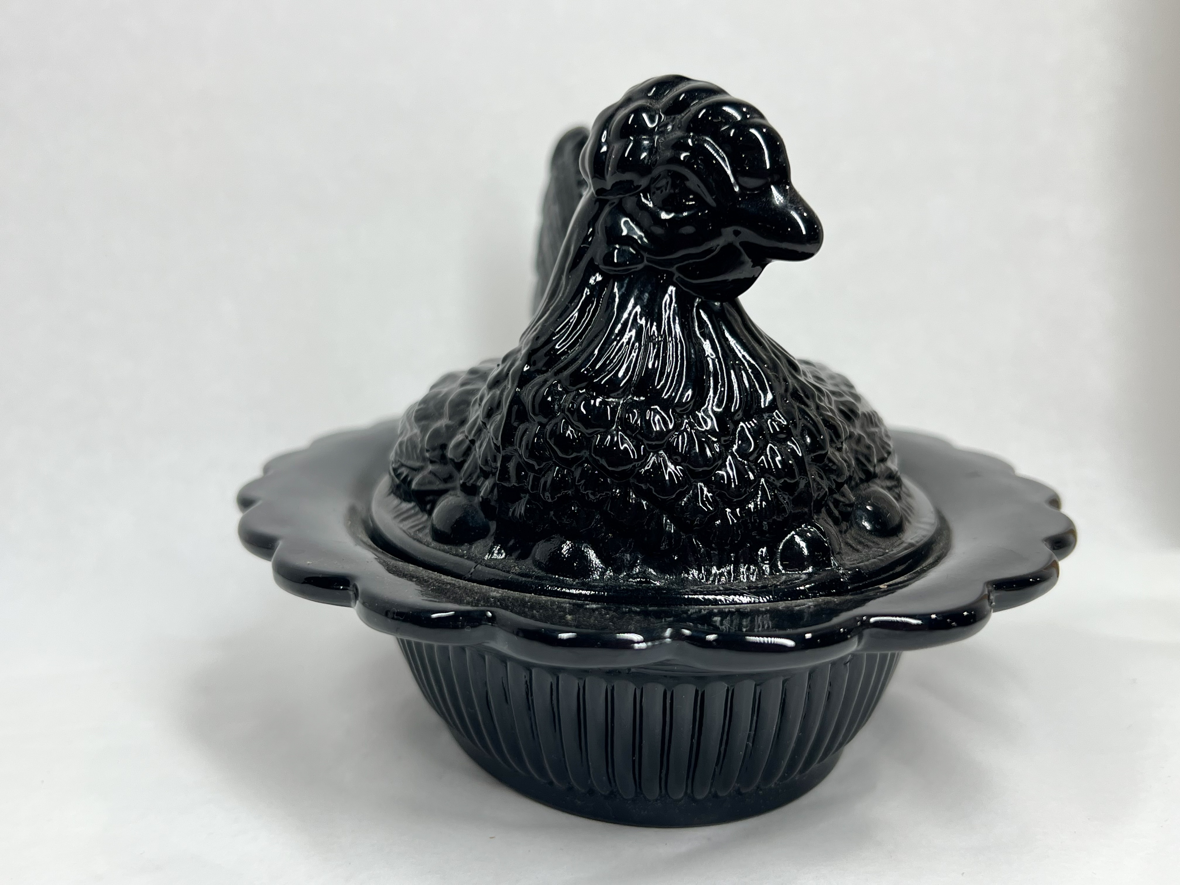 MOSSER BLACK HEN ON NEST