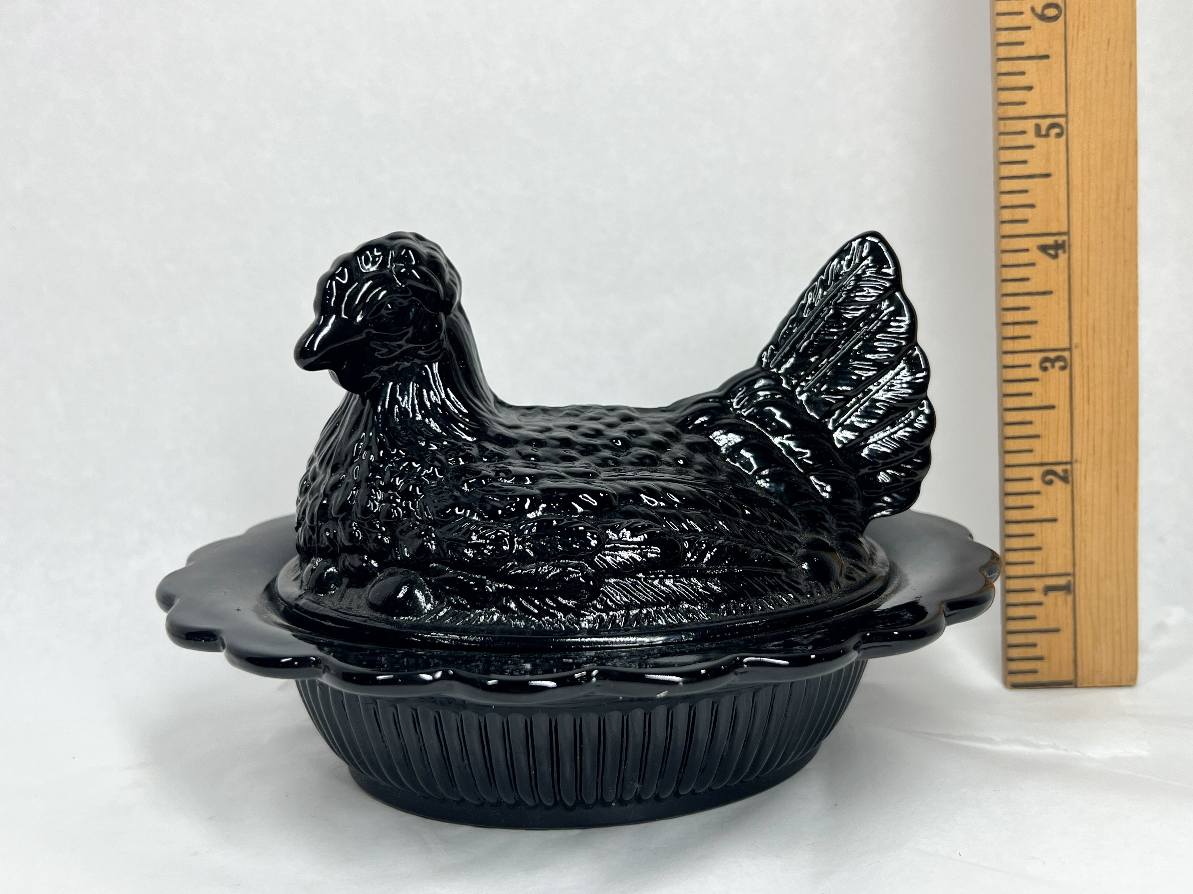 MOSSER BLACK HEN ON NEST