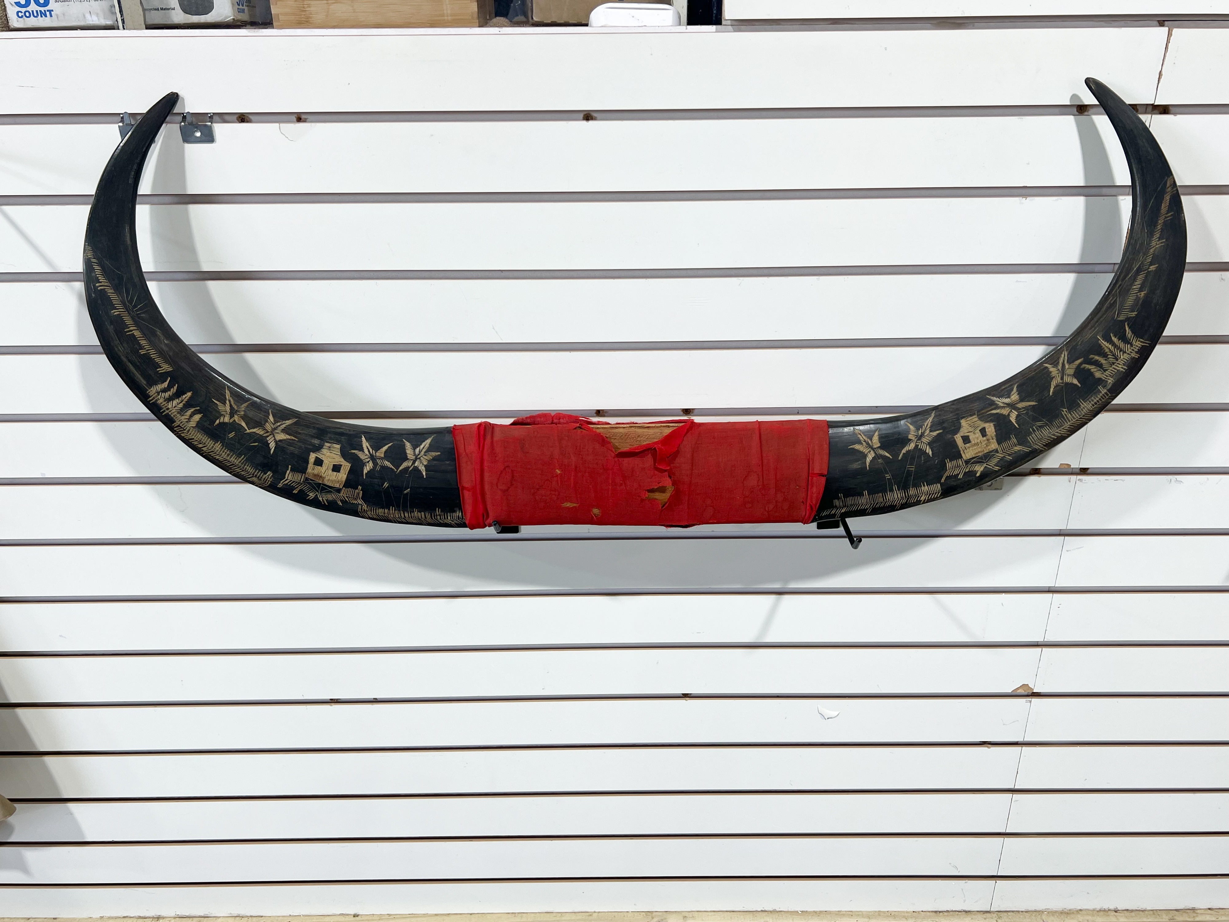 ETCHED WATER BUFFALO HORN WALL DISPLAY