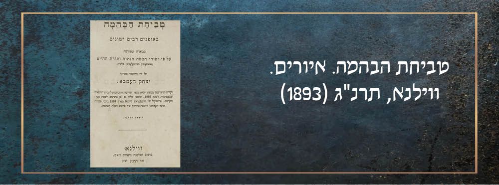 טביחת הבהמה. איורים. 
טביחת הבהמה באופנים רבים ושונים, מבוארה ומפורשה על פי יסודי חכמת הנתוח 