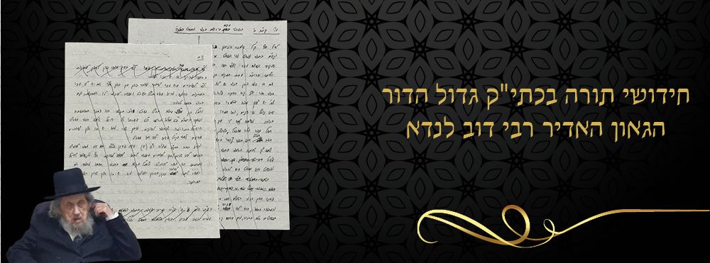 חידושי תורה בכתי"ק גדול הדור הגאון האדיר רבי דוב לנדא. 
דף חידושי תורה בכתב יד קדשו של גדול 