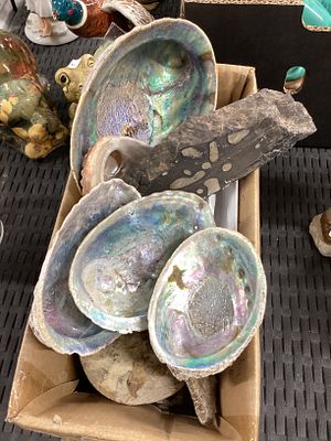Box of fossils and shells inc rock inlaid with silver