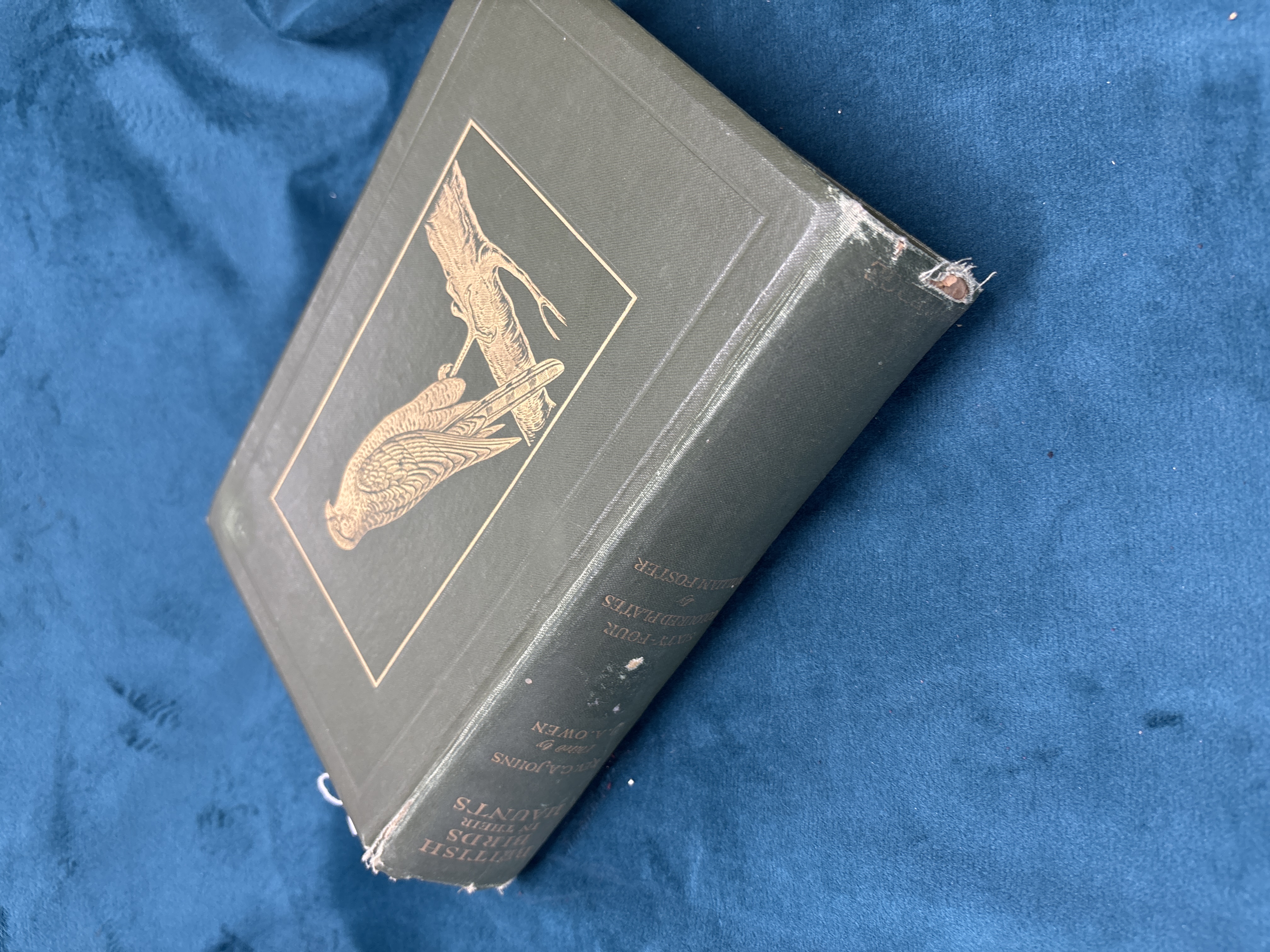 Johns, Rev. C.A. British Birds in Their Haunts. Edited by J.A. Owen.