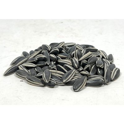 AI WEI WEI porcelain sunflower seeds. 100 Ct. Unmarked. Dimensions: Height: 1 inches, Width: