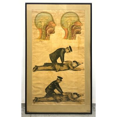 Resuscitation Educational Poster. Two Images of Cross Section of Human Head. Two Images of 