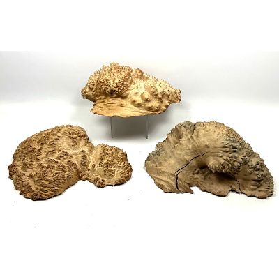 3pc Woodworker Mallee Burl Caps. All feature textured burl. Dimensions: Height: 12 inches 