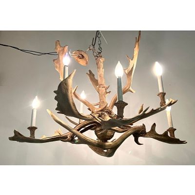 Designer Elk Antler Hanging Chandelier. Rustic Lodge design. Dimensions: Height: 24 inches 