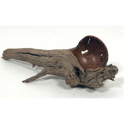 Unique Studio Woodworker Natural Root Burl Scoop. Unsigned. Dimensions: Height: 9.75 inches 