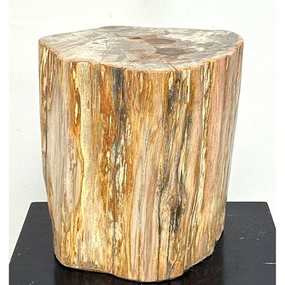 Heavy Polished Petrified Wood Side Table Stool. Translucent Agate Inclusions and Natural 