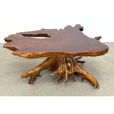 Vintage Live Edge California Redwood Burl Coffee Table with Natural Root Base and High Gloss 