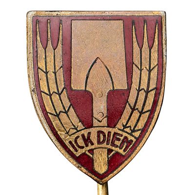 Third Reich Dutch Nederlandse Arbeidsdienst Badge
