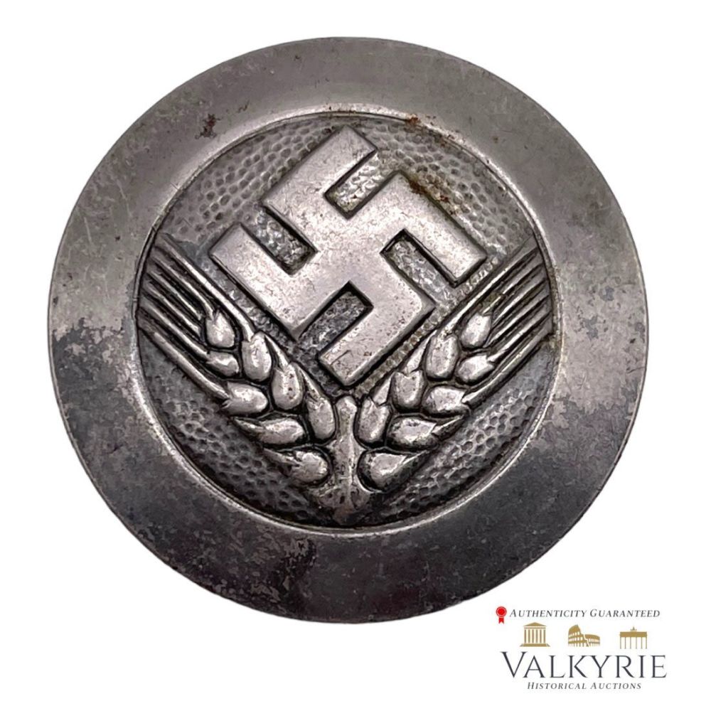 Lot 344: Nazi RADwJ Reichsarbeitsdienst Female Youth Brooch Badge