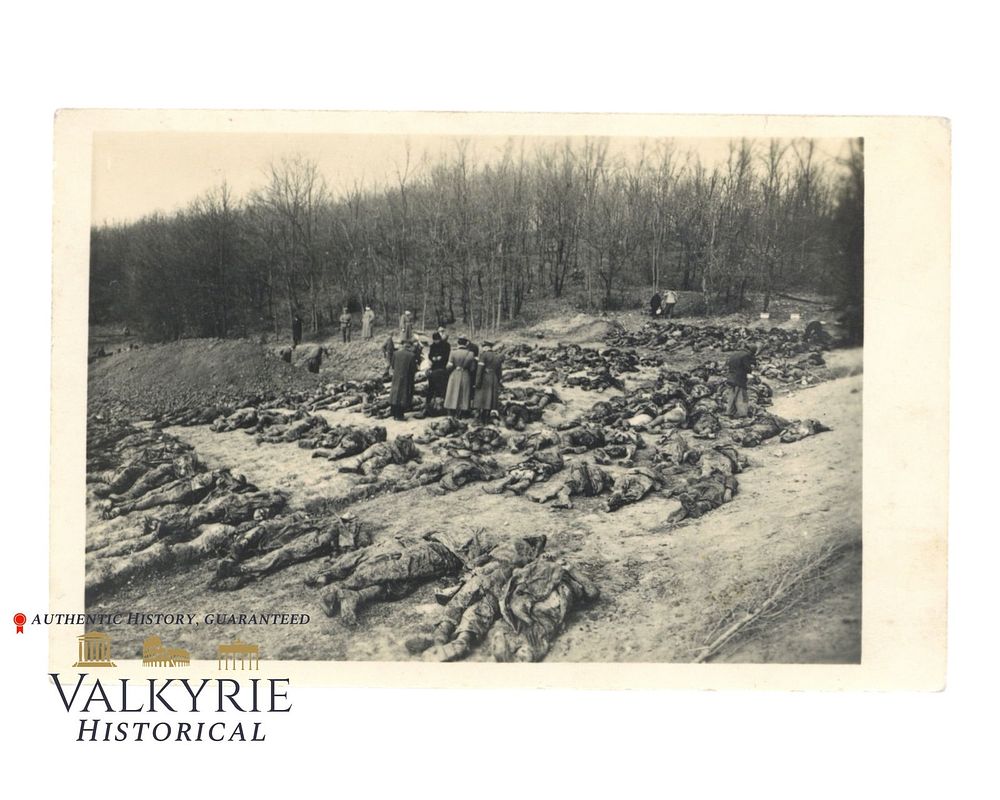 Lot 356: Graphic Photo That Shows Dozens of Ground Dug Corpses of Executed Men in a Mass Grave - Katyn?