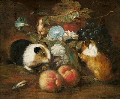 Franz Werner von Tamm: Still Life with Three Guinea Pigs and Fruit. TAMM , FRANZ WERNER VON 1658 