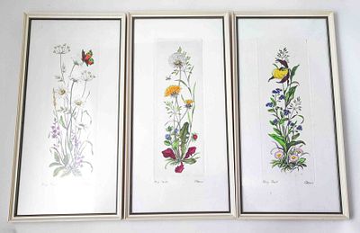 Lot antike Farbradierungen Wiesenpflanzen. 3tlg. Lot antike Farbradierungen, Wiesenpflanzen 