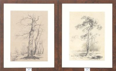 Conradijn Cunaeus (1828-1895) Twee tekeningen, bomen. E&eacute;n naar B.C. Koekkoek. Gesigneerd met 