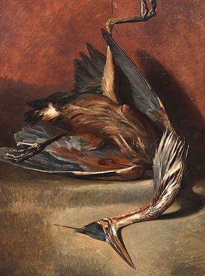 Francis Louise Schot (1816 - 1894), Still life with dead heron Unsigned. This painting is 