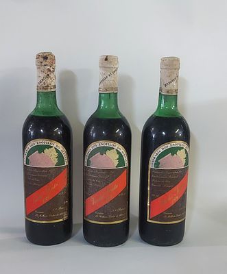 Three Bottles of Red Table Wine from the Alentejo Region
. Three bottles of red table wine from 