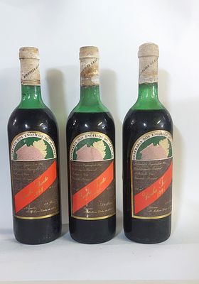 Three Bottles of Red Table Wine from the Alentejo Region
. Three bottles of red table wine from 