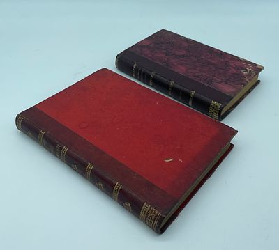 Two Books of Speeches
. *Parliamentary Speeches from 1880-1885 by Ant&oacute;nio Candido, Porto with 