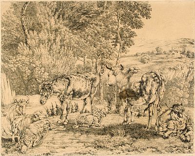 Лар Питер ван (1599-1642). 
Стадо. 1630-е гг. Офорт, 30,8&times;38,7 см. Нидерландский 