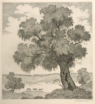 Шервинская Ирина Евгеньевна (1914-2005). 
Пейзаж с дубом. 1980-е гг. Офорт, сухая игла 