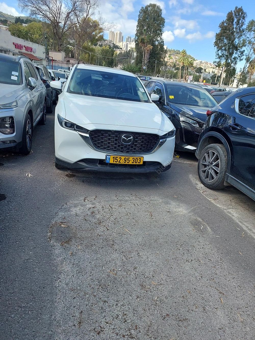 פוארטי-סולומונוב משרד עורכי דין ונוטריון | רכב מכונס נכסים