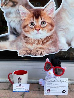 Orlando Cat Cafe Package. The Orlando Cat Cafe has donated a package including a Jean Luc plush 