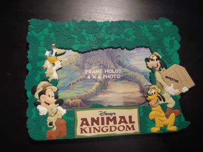 Disney's Animal Kingdom Picture Frame
