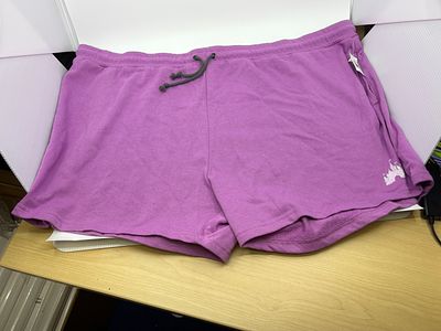 Disney Castle Shorts (2X/New with Tags)