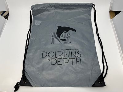 Dolphins in Depth String Bag