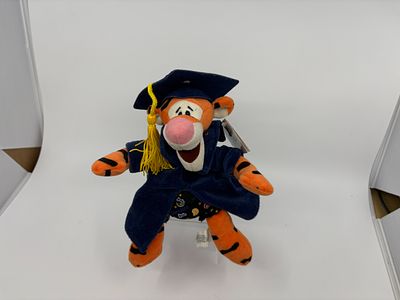 Grad Nite Tigger Bean Bag