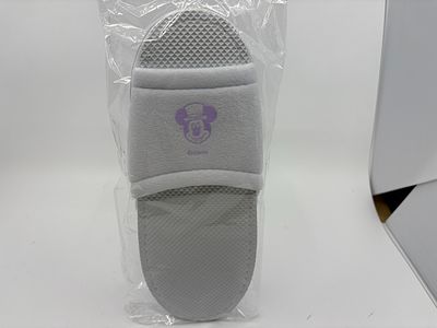 Tokyo Disney Fantasy Springs Hotel Adult Slippers