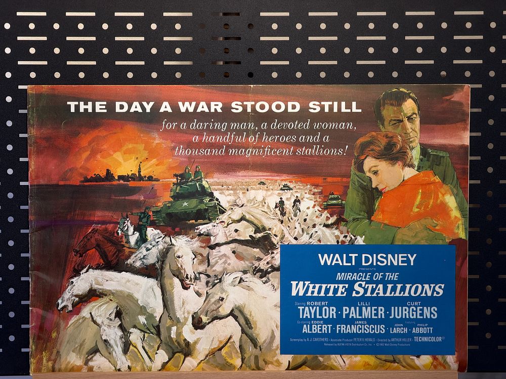 Miracle Of The White Stallions 1963 Walt Disney Productions Movie Press Book