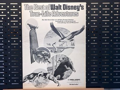 The Best Of Walt Disney’s True Life Adventures 1975 Walt Disney Productions Press Book and Pad