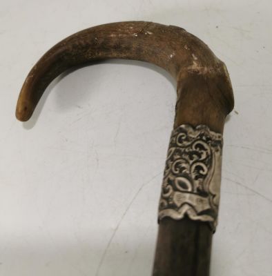 HORN TOPPED VINTAGE WALKING STICK WITH HALLMARKED SILVER FERRULE