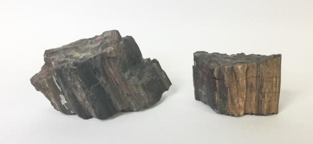 Lot 167: 2 Pieces Petrified Wood