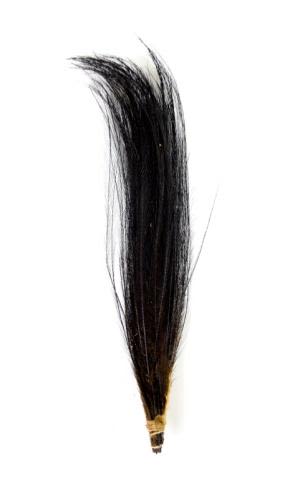 Lot 196: Cassowary Feathers