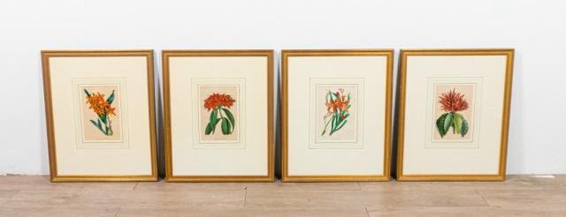 Lot 291: Set of 4 Samuel Holden Botanical Lithographs