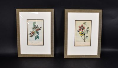 After John James Audubon Bird Lithographs. After John James Audubon (American, 1785-1851). Two 