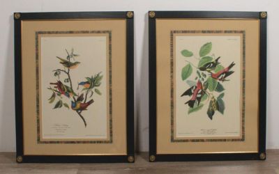 2 Aquatints After Audubon. Pair of 19th century aquatints, "Painted Bunting" and "White Winged 