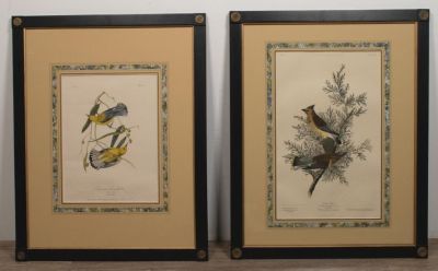 Pair of Aquatints After Audubon. Pair of Audubon aquatints , "Cedar Bird" and " Prothonotary 