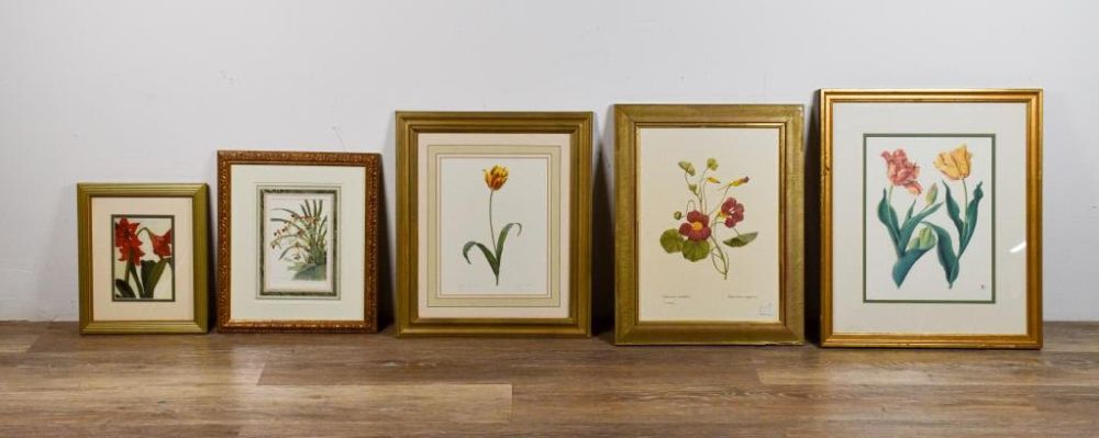 Lot 172: 5 Botanical Prints
