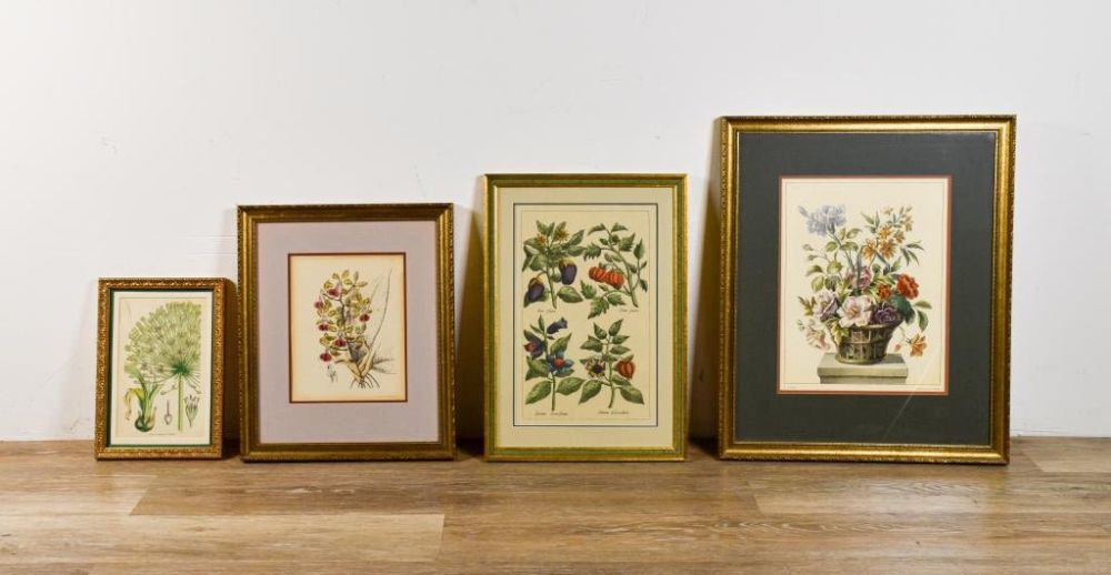 Lot 173: 4 Botanical Plates