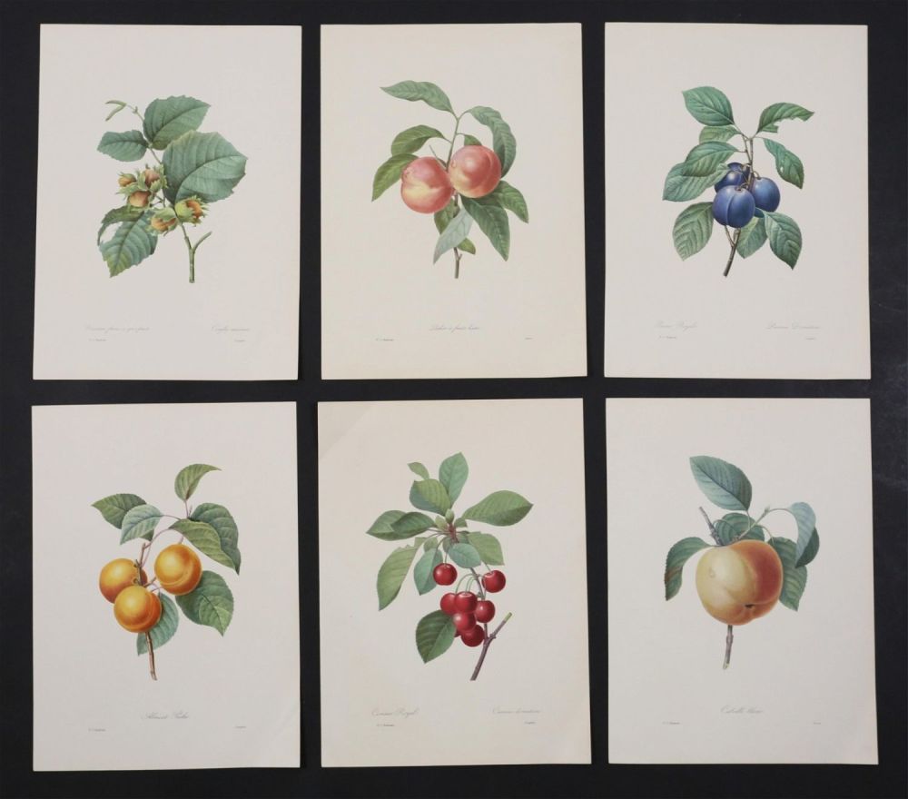 Lot 375: 6 Botanical Prints After PJ Redoute