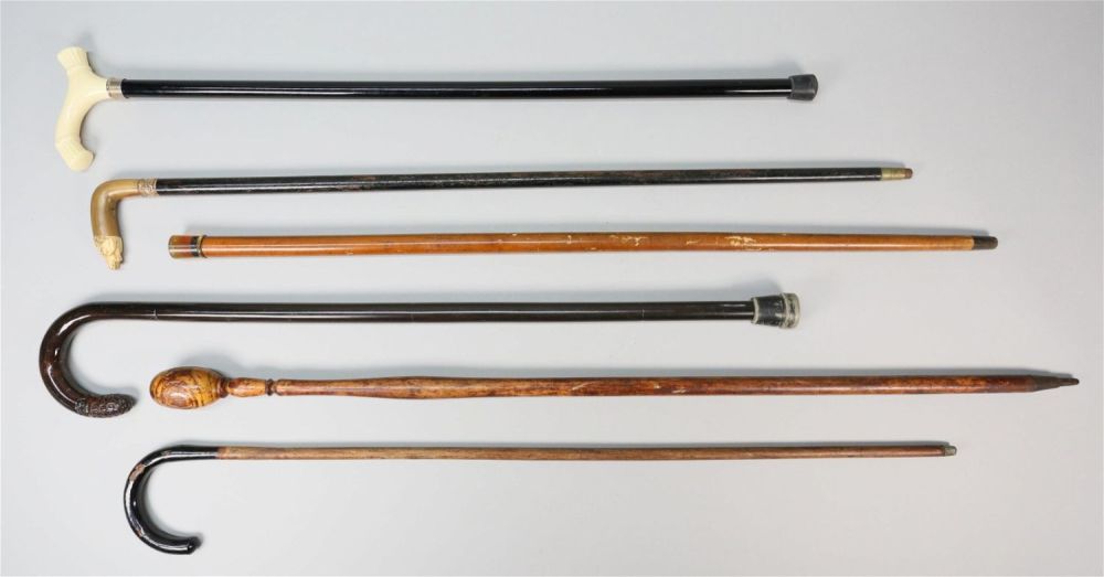 Lot 312: 6 Canes & Walking Sticks