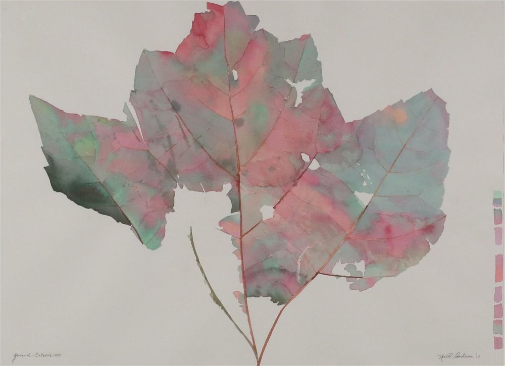 Lot 252: Neil R Anderson Ground October 1977 Leaf
