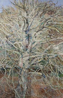 Lot 1 - Patricia Forester Watercolor Sycamore