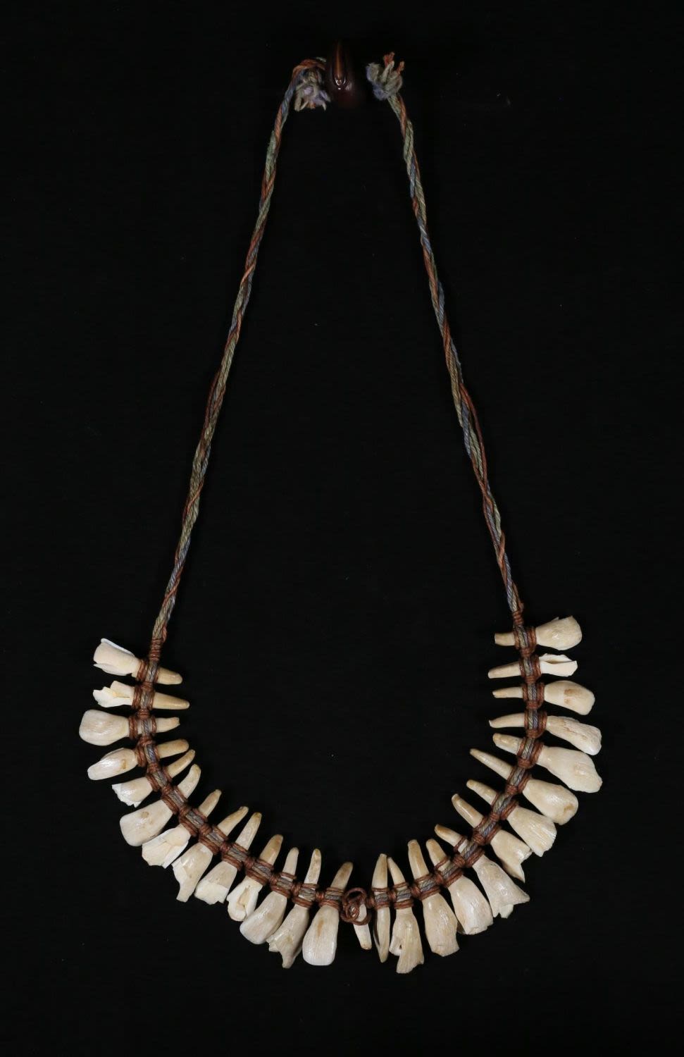 Lot 325: Native American Horse Tooth Necklace